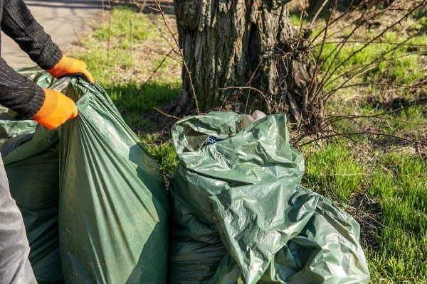 Yard Waste Removal Yard Waste Removal